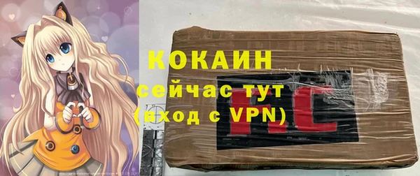 дмт Алзамай