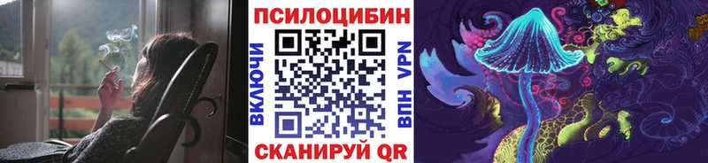 Купить закладки  Вольск  Галлюциногенные грибы Psilocybe 